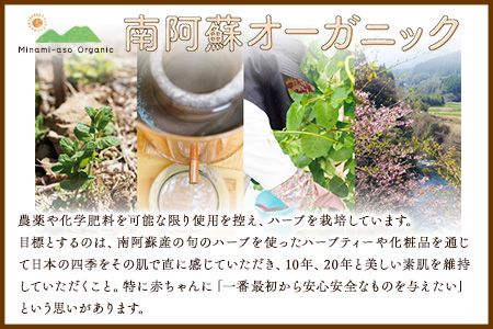 南阿蘇オーガニック あか牛だご汁2食とピクルス3種×2セット《30日以内に出荷予定(土日祝除く)》 熊本県 南阿蘇村 だご汁 ピクルス トマト 菊芋 ゆず大根 郷土料理---sms_moakapi_30d_r7_13500_4i---