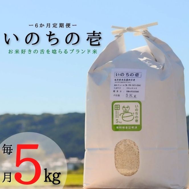 BI-34 【6か月定期便】【特別栽培米】垂井町産いのちの壱(5kg×6回）