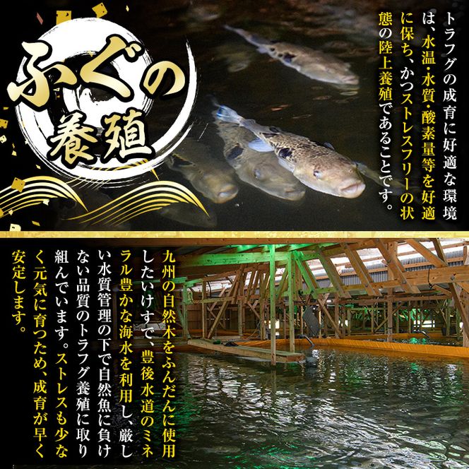 とらふぐ 唐揚げ セット (合計約1kg・ぶつ切り400g×1Ｐ 唐揚げ用300g×2P ヒレ10g) 魚 ふぐ 河豚 からあげ から揚げ 冷凍 生簀直送 佐伯 養殖 国産 大分県 佐伯市【EA18】【(株)トーワ】