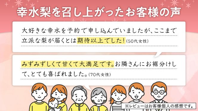 【 JA 北つくば 】 筑西ブランド 認証品 幸水 5kg 2025年産 先行予約 梨 果物 フルーツ なし ナシ [AE008ci]