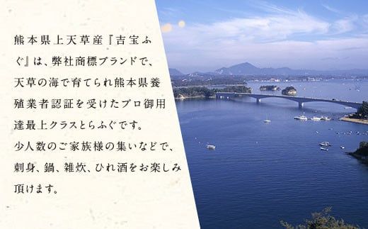 【2023年10月下旬から発送開始】 吉宝 ふぐ 身欠き 1.3kg