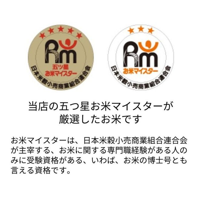 【定期便】令和6年産 新米 先行予約  京都 丹波産 きぬひかり 玄米 5kg×6回 計30kg｜5つ星お米マイスター 厳選 受注精米可 隔月発送も可 ※離島への配送不可※2024年9月下旬以降順次発送予定