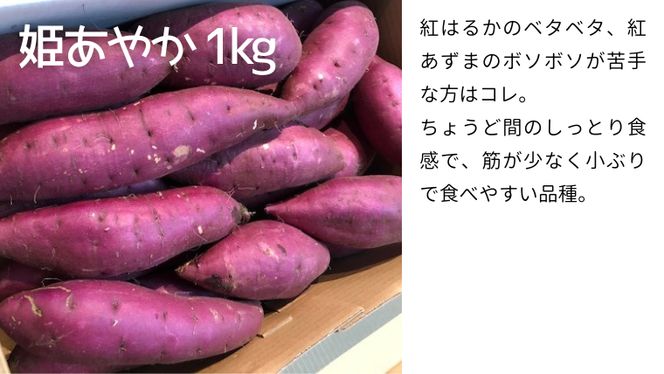 茨城名産 さつまいも 食べくらべ セット【ねっとり】 1kg × 3種 3kg サツマイモ 芋 詰合せ 野菜 スイーツ 焼き芋 紫芋 紅はるか ふくむらさき 姫あやか [AM136us]