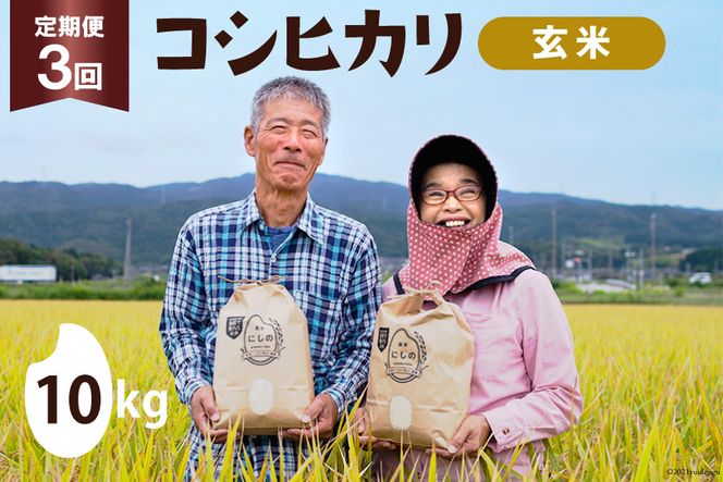 定期便 コシヒカリ 玄米 10kg×1×3回 総計30kg [農家にしの 石川県 宝達志水町 38600631] 米 お米 ご飯 ごはん