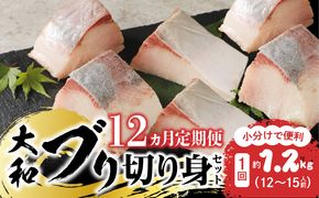 【大和海商】大和ブリの切り身たっぷりセット 12ヶ月定期便 N072-YZH052