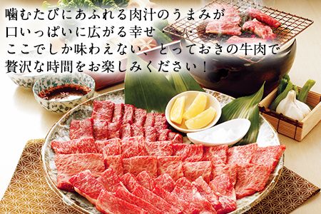 熊本県産 あか牛 焼き肉用 450g《120日以内に出荷予定(土日祝除く)》 肉のみやべ---sm_fmiyaakaya_120d_23_15500_450g---