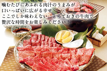 熊本県産 あか牛 焼き肉用 800g《120日以内に出荷予定(土日祝除く)》肉のみやべ---mifune_myb_23_800g---