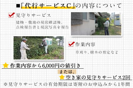 熊本県 長洲町ふるさと親孝行代行サービスC---sn_silvercenter_r7_20000_c---