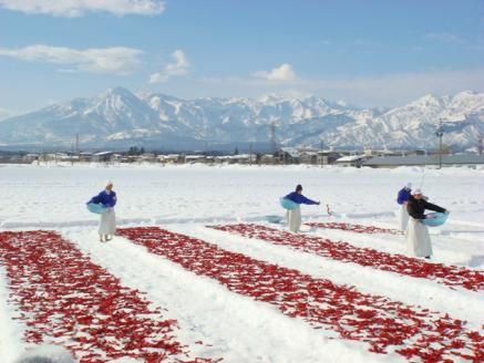 珍味かんずり化粧箱入70g新潟県妙高市
