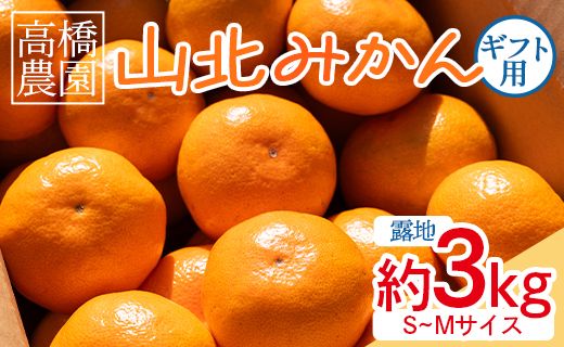 みかん 【2026年11月中旬より順次配送】山北みかん 約3kg（露地・Ｓ～Ｍサイズ）- 果物 フルーツ 温州みかん ミカン 蜜柑 柑橘 甘い 送料無料 ギフト のし 贈り物 th-0023