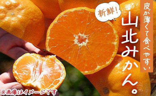 山北みかん 約3kg（露地・Ｓ～Ｍサイズ）- 果物 フルーツ 温州みかん ミカン 蜜柑 柑橘 甘い 送料無料 ギフト のし 贈り物 数量限定 期間限定 高橋農園 高知県 香南市 th-0017
