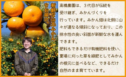 山北みかん 約3kg（露地・Ｓ～Ｍサイズ）- 果物 フルーツ 温州みかん ミカン 蜜柑 柑橘 甘い 送料無料 ギフト のし 贈り物 数量限定 期間限定 高橋農園 高知県 香南市 th-0017