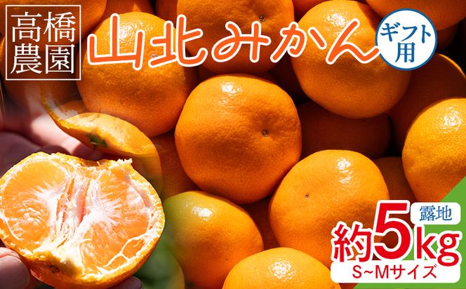 山北みかん 約5kg（露地・S～Mサイズ）- 果物 フルーツ 柑橘 先行予約 おすそ分け ギフト のし 配送日指定不可 数量限定 期間限定 季節限定 送料無料 高橋農園 高知県 香南市 th-0008