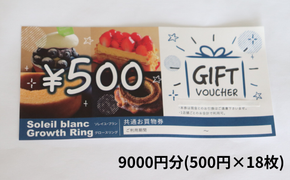 BV-3 店舗利用券9000円分