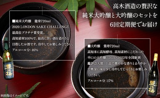 6回定期便 純米大吟醸＆大吟醸セット 720ml各1本（合計12本） - お酒 純米酒 日本酒 地酒 飲み比べ 龍奏 鶯寿 宅飲み お祝い 高木酒造株式会社 高知県 香南市【冷蔵】 Wgs-0083