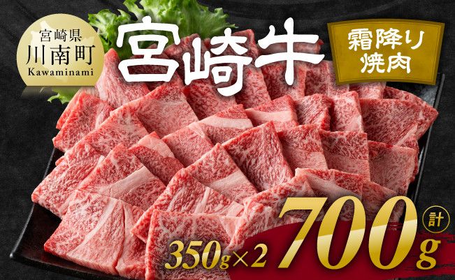 宮崎牛霜降り焼肉 700g (350g×2)[肉 牛肉 国産 宮崎県産 宮崎牛 黒毛和牛 和牛 焼肉 BBQ 4等級 A4ランク 肩ロース E11122]