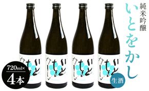 日本酒 生酒 純米 白ワインのようなお酒！純米吟醸いとをかし生酒720ml×4本 - お酒 日本酒 地酒 アルコール フルーティー 高木酒造 高知県 香南市 gs-0084