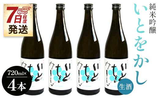 【7日程度で発送】 日本酒 生酒 純米 白ワインのようなお酒！純米吟醸いとをかし生酒720ml×4本 - お酒 日本酒 地酒 アルコール フルーティー 高木酒造 高知県 香南市 gs-0084