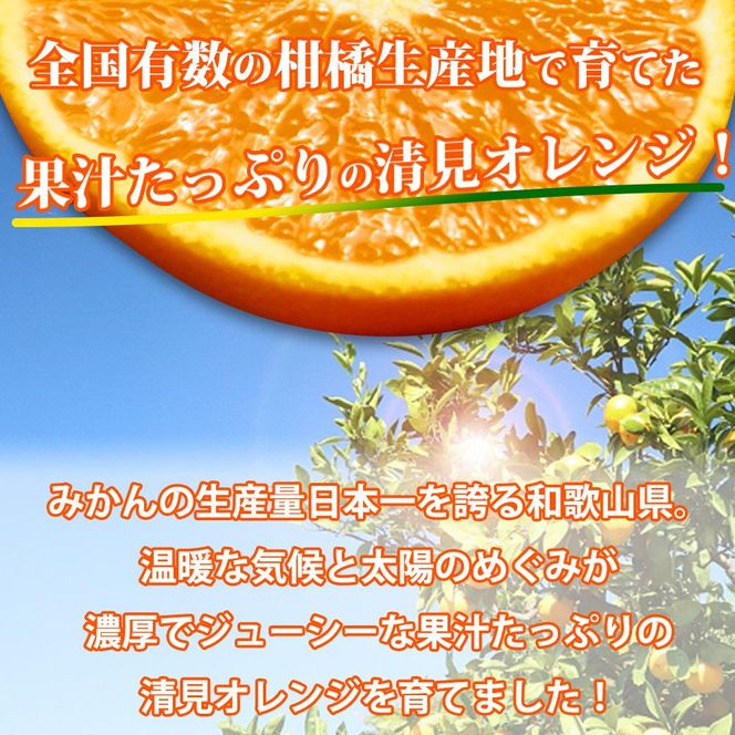 【ご家庭用訳アリ】紀州有田産清見オレンジ　7.5kg【2025年3月下旬以降発送】【先行予約】【UT54】　AN014