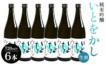 日本酒 純米 生酒 白ワインのようなお酒！純米吟醸いとをかし生酒720ml×6本 - お酒 日本酒 地酒 アルコール フルーティー 高木酒造 高知県 香南市 gs-0085