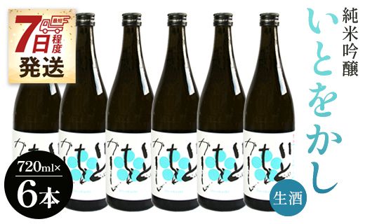 【7日程度で発送】 日本酒 純米 生酒 白ワインのようなお酒！純米吟醸いとをかし生酒720ml×6本 - お酒 日本酒 地酒 アルコール フルーティー 高木酒造 高知県 香南市 gs-0085