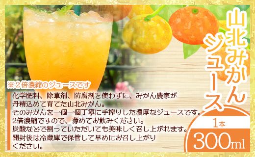 みかん農家の手搾り山北みかんジュース(300ml)と季節のフルーツマフィン(2種3個入り)の詰め合わせ - 飲料 デザート 焼き菓子 スイーツ お菓子 洋菓子 eh-0033