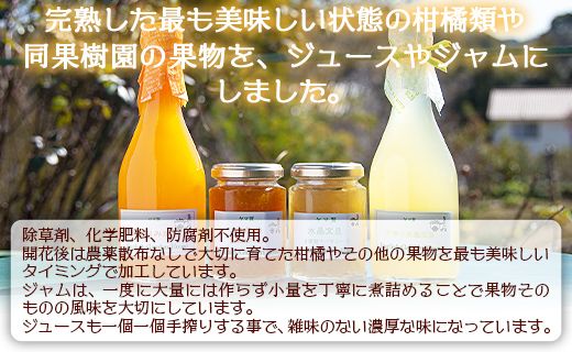 みかん農家の手搾り自家製ジュース(300ml×2種)と季節の自家製ジャム(2種)のおまかせセット - 国産 飲料 濃縮2倍 柑橘 フルーツ 果物 加工品 ジャム eh-0034