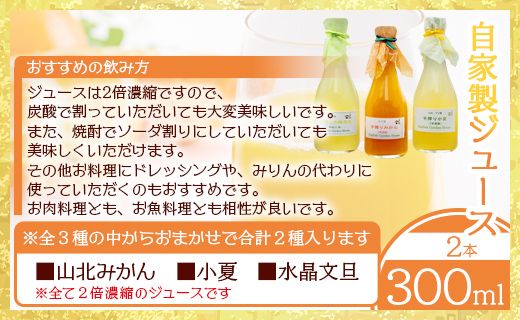 みかん農家の手搾り自家製ジュース(300ml×2種)と季節の自家製ジャム(2種)のおまかせセット - 国産 飲料 濃縮2倍 柑橘 フルーツ 果物 加工品 ジャム eh-0034