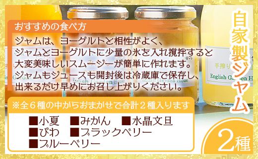 みかん農家の手搾り自家製ジュース(300ml×2種)と季節の自家製ジャム(2種)のおまかせセット - 国産 飲料 濃縮2倍 柑橘 フルーツ 果物 加工品 ジャム eh-0034