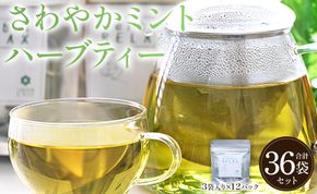 さわやかミントハーブティー 36袋 ミント ハーブ - お茶 飲み物 ティーバッグ 茶葉 gr-0160