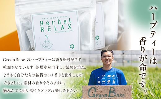 さわやかハーブティー6種の詰め合わせセット - お茶 飲み物 ティーバッグ 茶葉 ミント レモングラス ローズマリー のし ギフト 贈り物 GreenBase 高知県 香南市 gr-0119