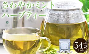 さわやかミントハーブティー 54袋  - ミント ハーブ お茶 飲み物 ティーバッグ 茶葉 gr-0161