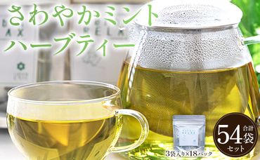 さわやかミントハーブティー 54袋  - ミント ハーブ お茶 飲み物 ティーバッグ 茶葉 gr-0161