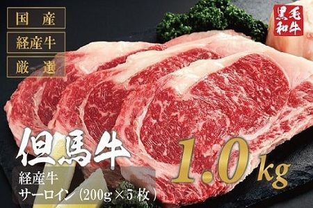 032AA01N.いちかわ精肉店「サーロインステーキ」200ｇ×5