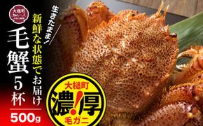 【令和7年発送】三陸産活毛ガニ 500g×5杯【2025年2月〜4月発送】【配送日指定不可】【0tsuchi00977】【08】