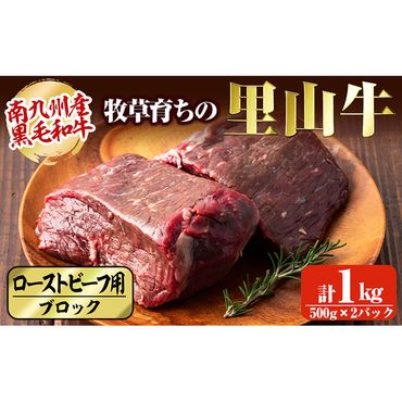 牧草育ちの里山牛 ローストビーフ用ブロック肉 計1kg c5-013