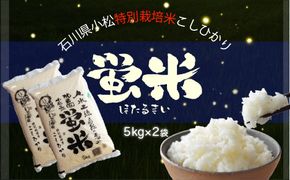 令和６年産【特別栽培米コシヒカリ】 蛍米精米10kg（5kg×2袋） 016018