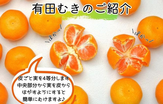 【5月出荷予定】小玉ちゃん ハウスみかん 温室栽培 夏の有田みかん 1kg 秀品 2Sサイズ以下 和歌山県 産地直送 みかんの会 AX274
