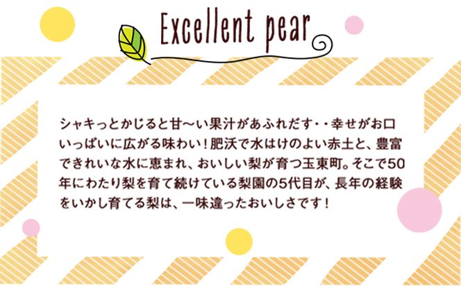 坂村梨園 玉東梨 熊本県玉名郡玉東町 約3kg(4～10玉前後) 梨 なし 果物 旬の梨 《8月中旬-11月上旬頃出荷》---sg_cmuranashi_g811_r8_12000_3kg---