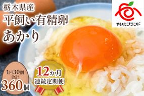 [平飼い有精卵30個×12か月連続定期便] ガツンとインパクトのある濃厚な黄身【平飼い有精卵あかり】｜矢板市産 こだわり卵 たまご 玉子 生卵 鶏卵 [0439]