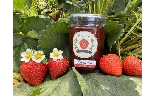 【数量限定】無添加 4種のいちごジャム（ミルキーベリー スカイベリー とちあいか とちおとめ）｜ 栃木県 さくら市 イチゴ 苺