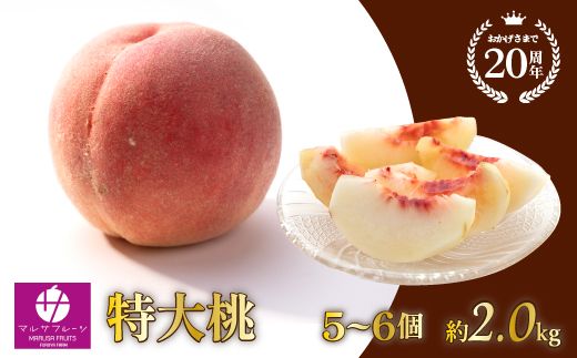 【2026年発送★先行予約】特大桃 5～6個入り 約2.0kg 山梨一宮産の桃 朝採り 産地直送  088-001-26y