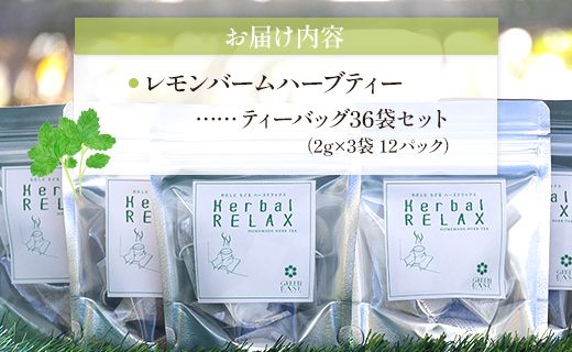 さわやかレモンバームハーブティー 36袋 - ハーブ お茶 飲み物 ティーバッグ 茶葉 レモンバーム gr-0172