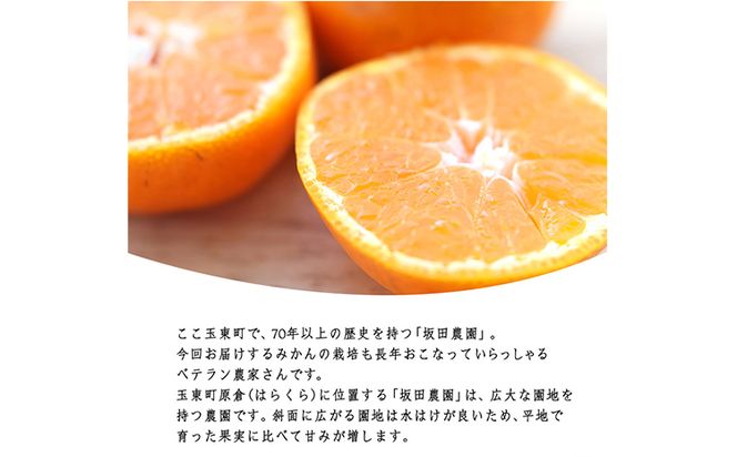  みかん 先行予約 旬【日付指定不可】 ご家庭用 訳あり 『坂田農園』 ご家庭 用 みかん 約 5kg (2S-2Lサイズ) 熊本 予約 受付中 フルーツ 秋 旬 玉東 町 濃厚 食味 ジューシー 果汁 熊本県玉東町《10月上旬-1月末頃出荷》---gkt_skt_5_5kg---