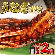 うなぎ 蒲焼 2尾 (140g ×2)  鰻蒲焼 ウナギ かばやき 土用 丑の日  活鰻 自家製蒲焼 たれ 山椒 ギフト 贈答   冷蔵 まとめ買い 静岡県 藤枝 ふるさと人気 [ PT0192-000002 ]