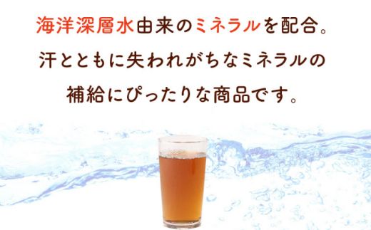 【6回定期便】DyDo ダイドー おいしい麦茶 合計144本 600ml×24本×6回 麦茶 むぎ茶 カフェインゼロ お茶 飲料水 ペットボトル ドリンク 定期便 6ヶ月 送料無料　nm044!