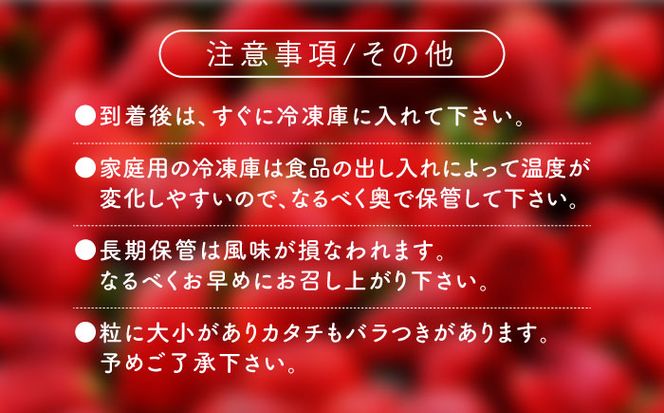 福岡県産【博多冷凍あまおう】約500g×2袋 合計約1kg《築上町》【株式会社H&Futures】[ABDG005]