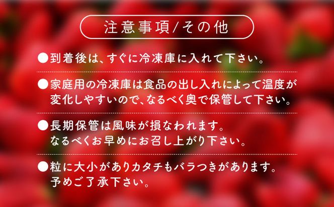 福岡県産【博多冷凍あまおう】約500g×2袋 合計約1kg《築上町》【株式会社H&Futures】[ABDG005]