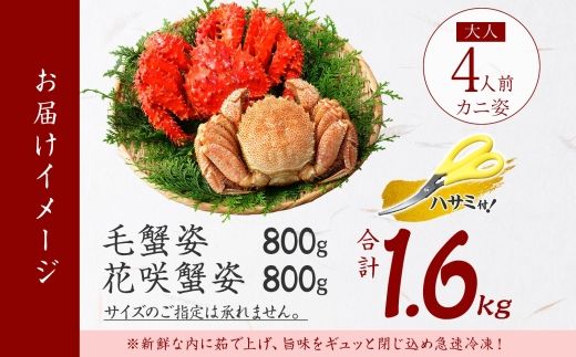 2482. 毛蟹 花咲ガニ 食べ比べ セット 足 800g 食べ方ガイド・専用ハサミ付 カニ かに 蟹 送料無料 北海道 弟子屈町