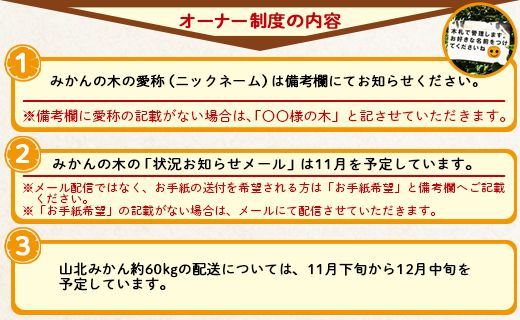 収穫後、山北みかん（露地・無選別）約６０㎏お届け！山北みかんの木のオーナー制度 - 果物 フルーツ 柑橘類 みかん ミカン 蜜柑 数量限定 高知県 香南市 yk-0036